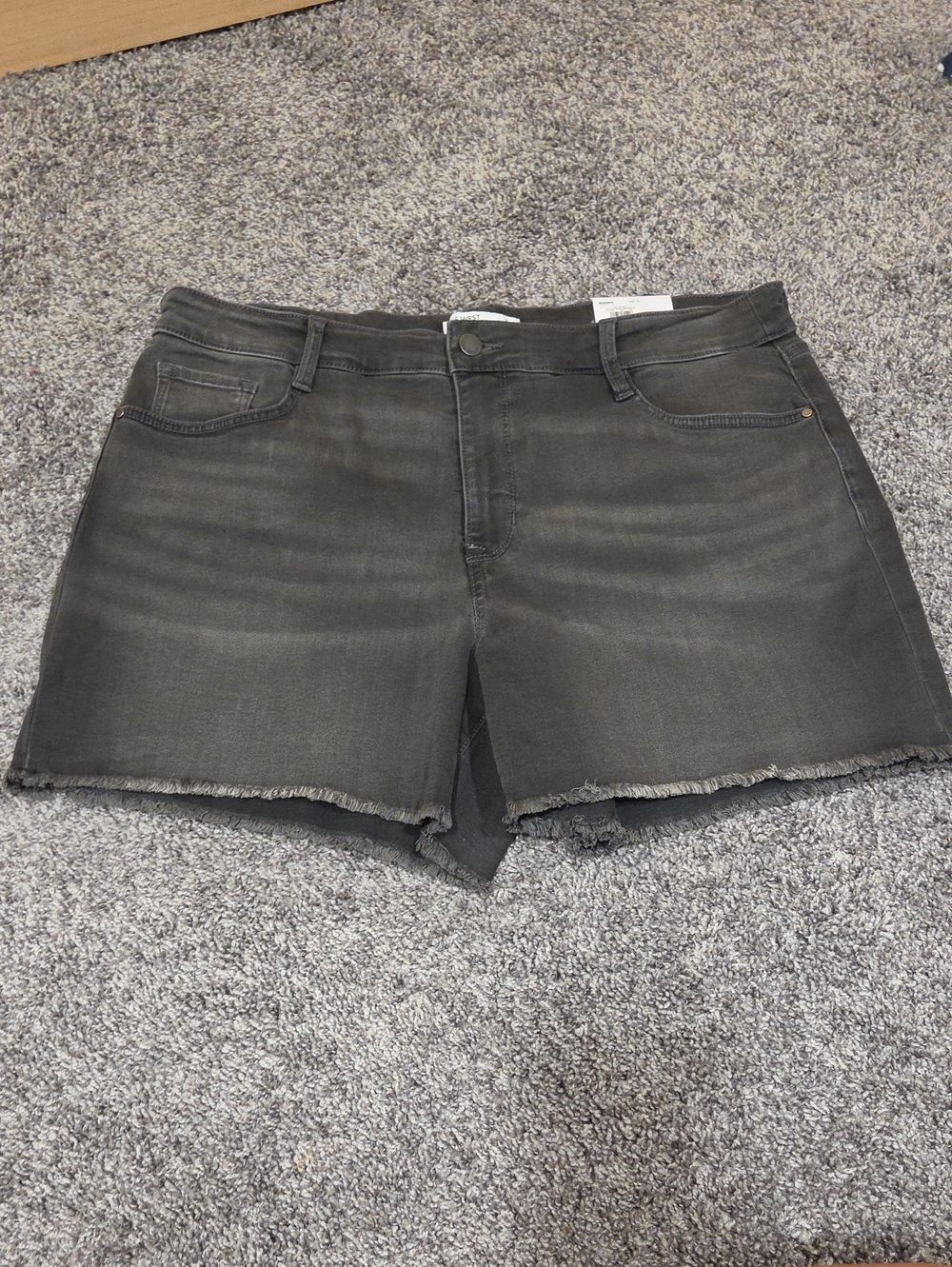 Nine West Gray Shorts Size 14 NWT